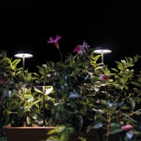 Linea Light Pistillo paletto led da terra