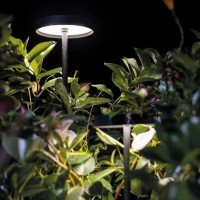 Linea Light Pistillo floor led bollard
