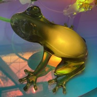 Qeeboo Hungry Frog table lamp