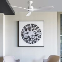 Faro Luzon ceiling fan 3 speed