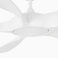 Faro Cocos fan ceiling lamp led