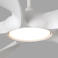 Faro Cocos fan ceiling lamp led