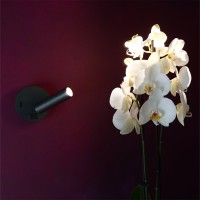 Vivida Betu adjustable wall light with USB port