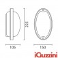 IGuzzini 7113 Ellipse Gray Applique E27 Ceiling Lamp For