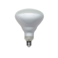 Bulb R125 LED E27 8W 3000K Dimmable for Flos Parentesi