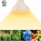 Daylight Italia Lampadina LED FIORITURA Plant Flower BR30