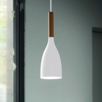 copy of Ideal Lux Doc metal suspension lamp with switch