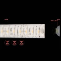 IGuzzini Underscore15 LED Strip 4.8W 12V IP65 Stagna 5 Metri