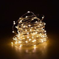 New lamps Copper Wire string lights in 240V with 300 micro LED