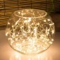 New lamps Copper Wire string lights in 240V with 300 micro LED