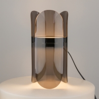 Maytoni Insight led table lamp