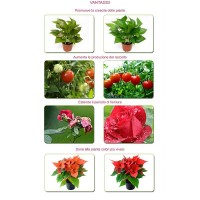 Growish LED Bar 3x36W 108W Cultivation / Grow Plants culture