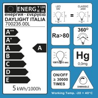 LED Curved Vintage Lamp Globe D.180 BUMPED E27 5W 2000K 250lm