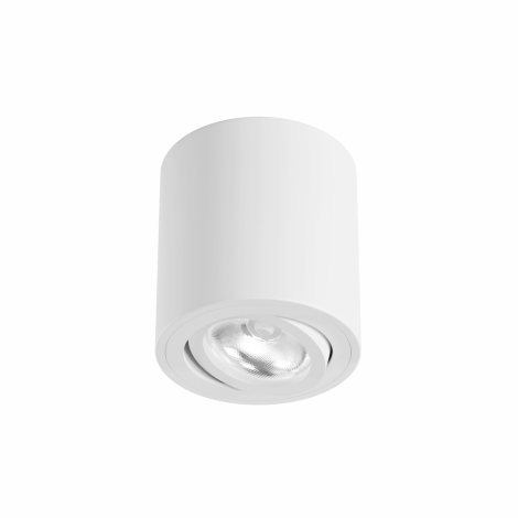 Beneito Faure One Adjustable Surface Spotlight