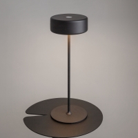 Maytoni AI Collaboration portable table lamp