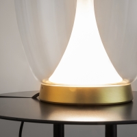 Maytoni Splash table lamp