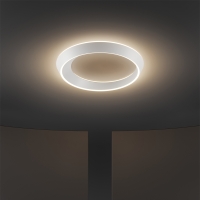 Lodes Tidal oval LED ceiling circular lamp