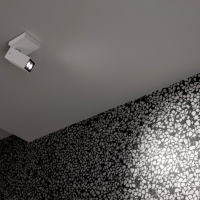 Lombardo Kura Reg X2 ceiling and wall lamp ip65