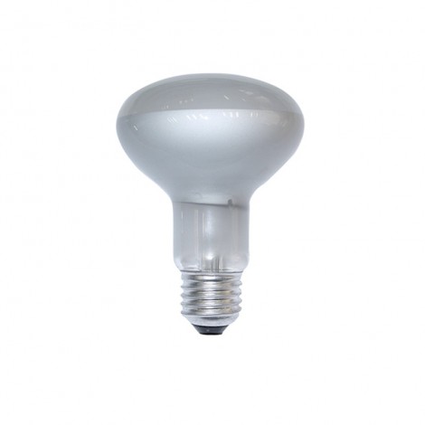Daylight Bulb Reflector Satin COB LED 2700K Warm White Light