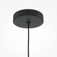 Maytoni Pro Focus suspension lamp