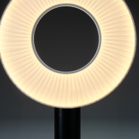 DCW Iris table lamp