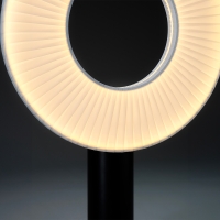 DCW Iris table lamp