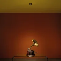 Luce & Light Intono C IN 2.3 and 3.3 ceiling spotlight