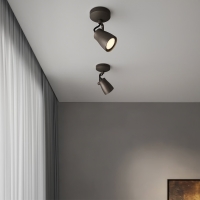 Astro Lighting Juno Single lampada da soffitto