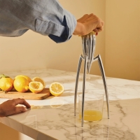 Alessi Juicy Salif Juicer