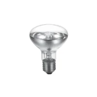 R80 42W E27 Satin Halogen lamp R80 42W E27 Satin Halogen lamp