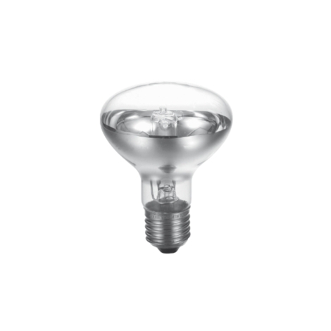 R80 42W E27 Satin Halogen lamp R80 42W E27 Satin Halogen lamp