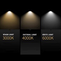 Lampo Faro da incasso LED Tondo SYDNEY TRICOLOR 35W