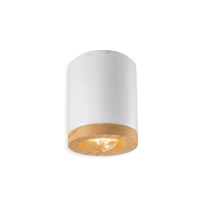 Ferroluce Mateca ceiling spotlight