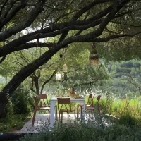 Kartell sedia A.I. Lite Kartell sedia A.I. Lite