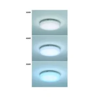 FAI Mini LED Lamp 12W Round Ceiling or Wall Lamp IP65 Waterproof FAI Mini LED Lamp 12W Round Ceiling or Wall Lamp IP65 Waterproof