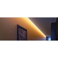 Lampo Neon Striscia LED In Silicone Slim 5mm 8W 12V Luce