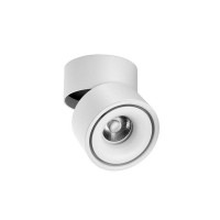 Lampo Lamp 15W LED Adjustable Cylinder Round Ceiling Surface In