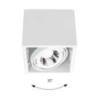 Logica Container 111 Square GU10 Spotlight For Adjustable Led