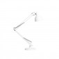 Fontana Arte Naska Large Table Lamp LED Or Halogen Direct