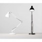 Fontana Arte Naska Large Table Lamp LED Or Halogen Direct