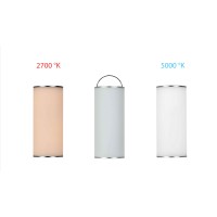 Beneito Faure Converse Lighting Dimmable and Adjustable
