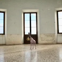 Qeeboo Giraffe In Love XS 100 cm Indoor Giraffe with E14 LED Qeeboo Giraffe In Love XS 100 cm Indoor Giraffe with E14 LED