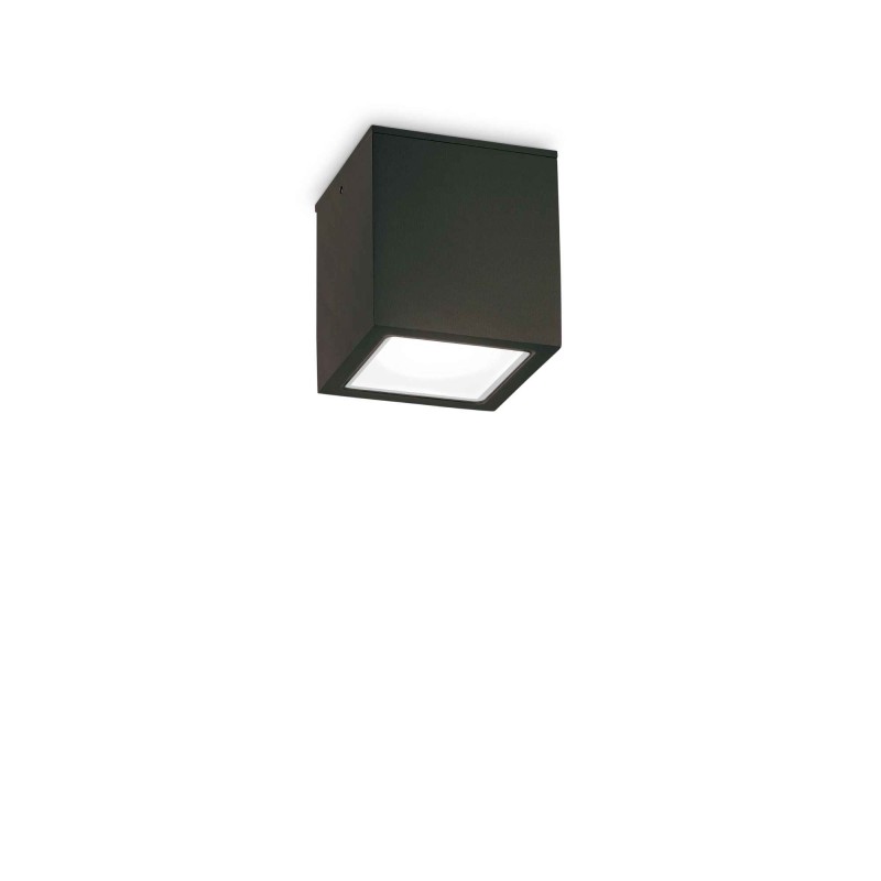 Ideal Lux Techo PL1 Small Cube Ceiling Plafòn Lamp for Outdoor
