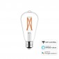 Daylight Lampadina Smart Wifi CCT a LED Dimmerabile Bianco