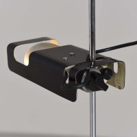 Oluce Spider 3319 Vintage Adjustable Floor Lamp Design by Joe