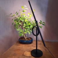 Pallucco Tangent Mini Lampada Orientabile da Tavolo a LED
