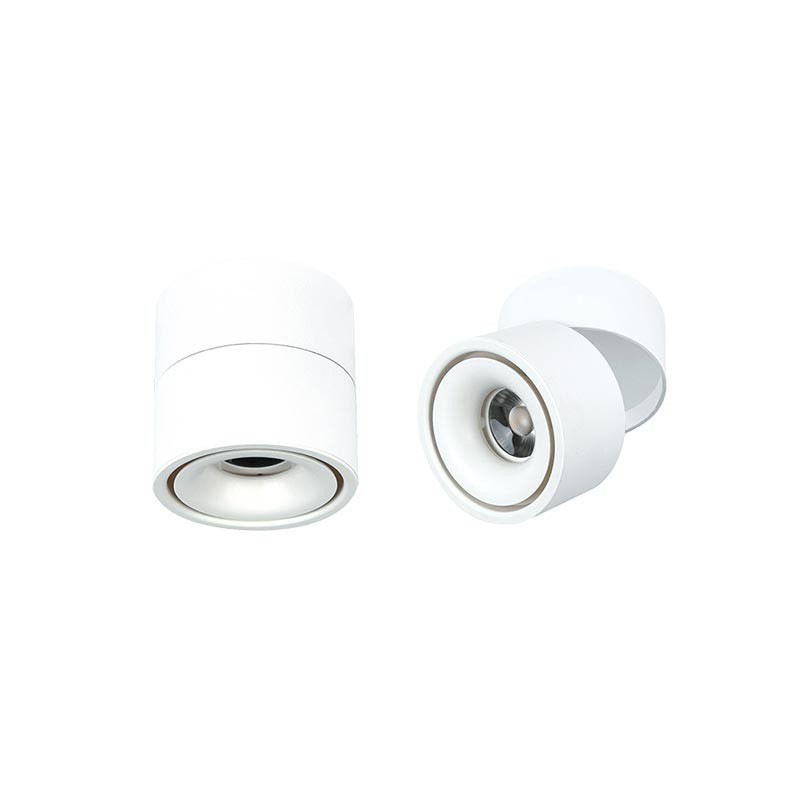 Lampo Lamp 15W LED Adjustable Cylinder Round Ceiling Surface In