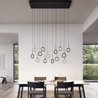 Lodes IVY I Dimmable LED Ring Suspension Lamp By Vittorio