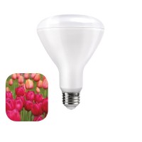 Daylight Italia Lampadina LED FIORITURA Plant Flower BR30