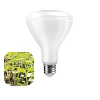 Daylight Italia GROWING LED Bulb Plant Green BR30 100-240V E27